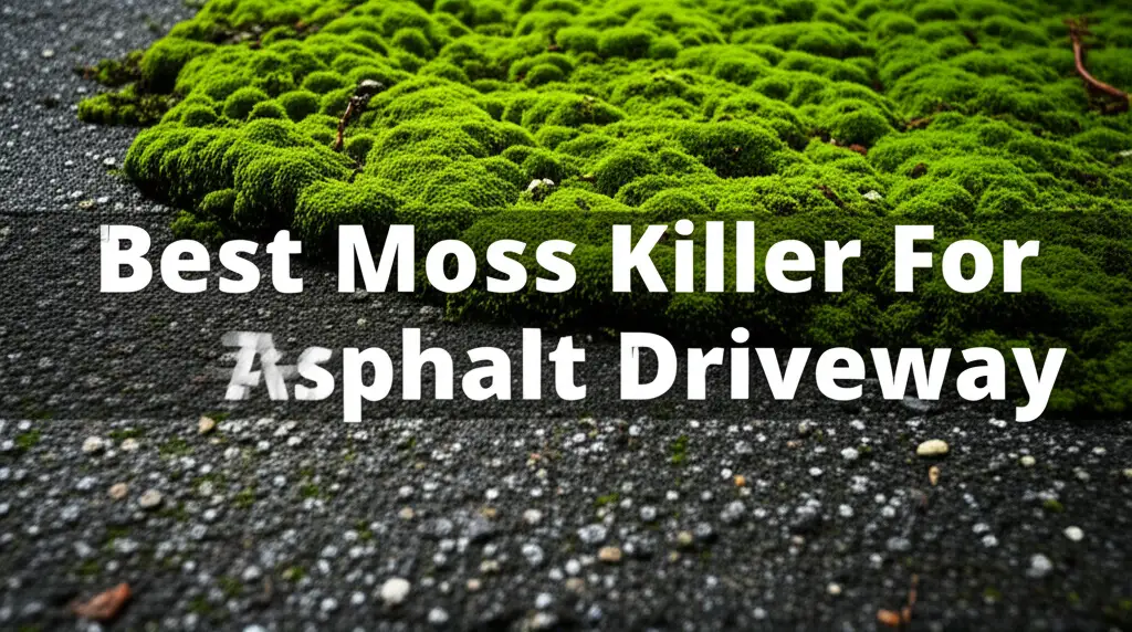 8 Best Moss Killer For Asphalt Driveway 2026