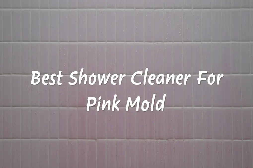 10 Best Shower Cleaner For Pink Mold 2026 Guide