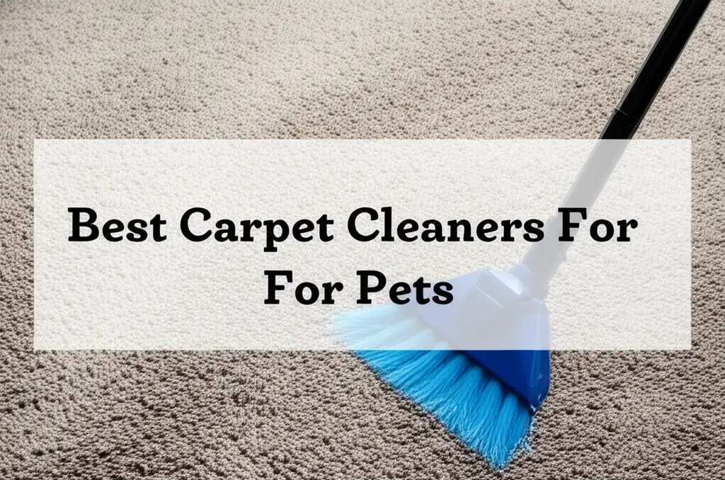 7 Best Carpet Cleaners For Pets in 2026 Tested & Reviewed