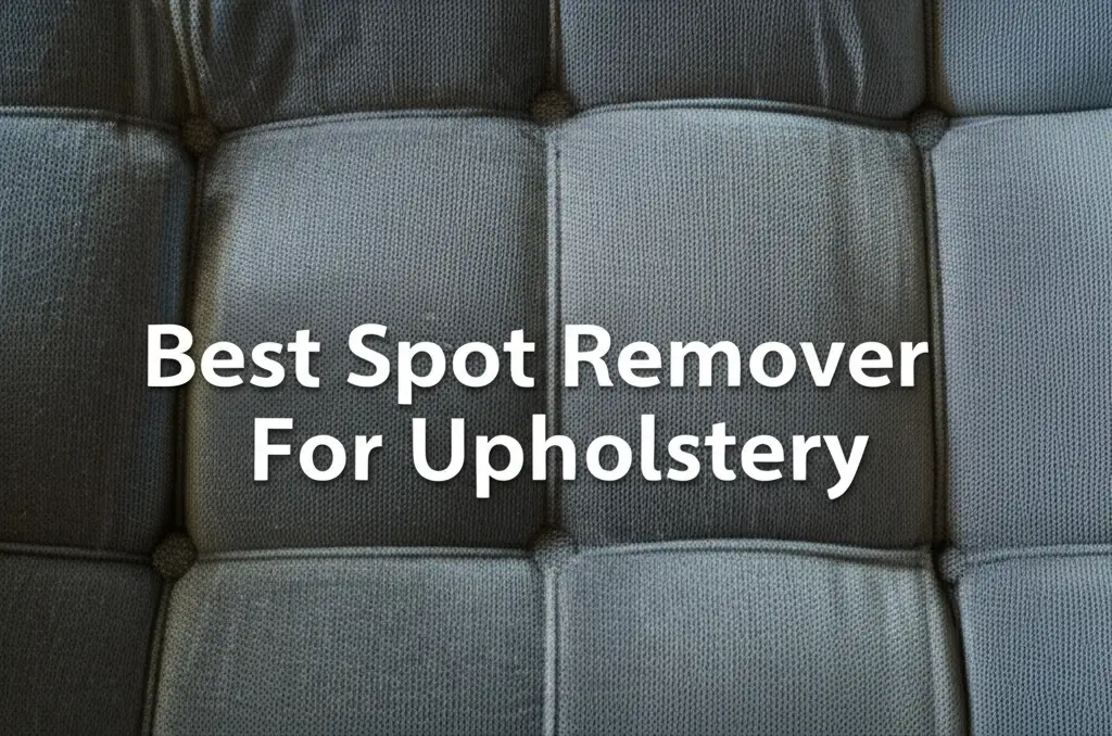 10 Best Spot Remover For Upholstery 2026