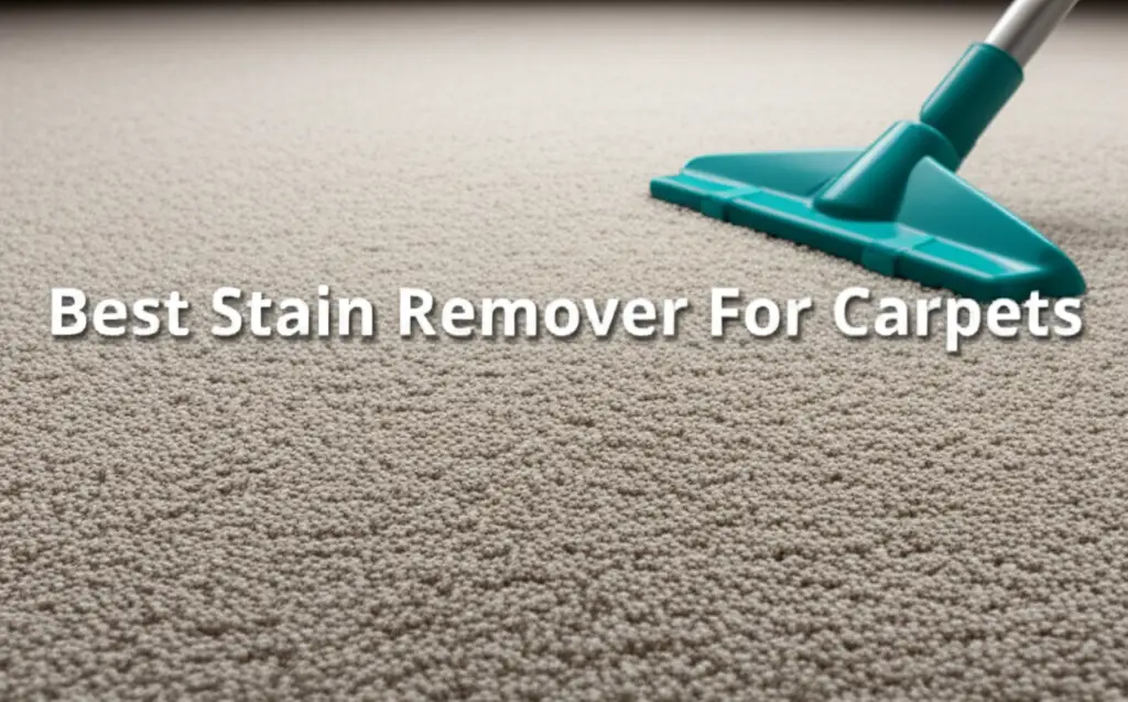 8 Best Stain Remover For Carpets 2026 Guide
