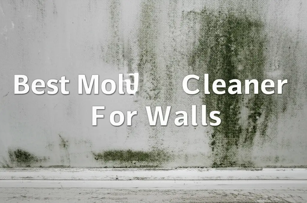 9 Best Mold Cleaner For Walls 2026