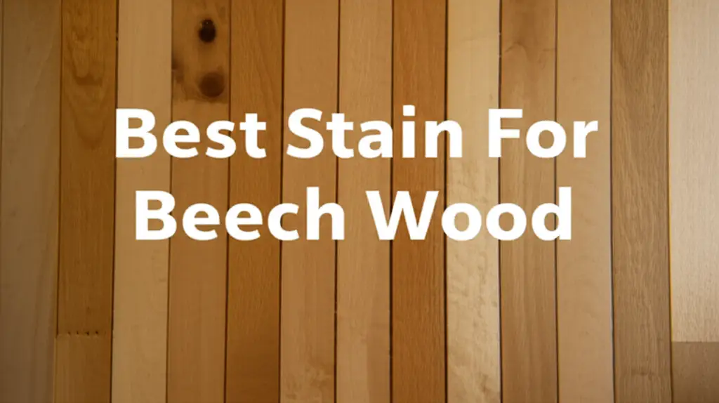 10 Best Stains for Beech Wood Expert Reviews and Top Picks 2026