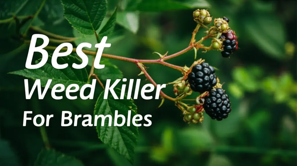9 Best Weed Killer For Brambles 2026 Expert Garden Solutions