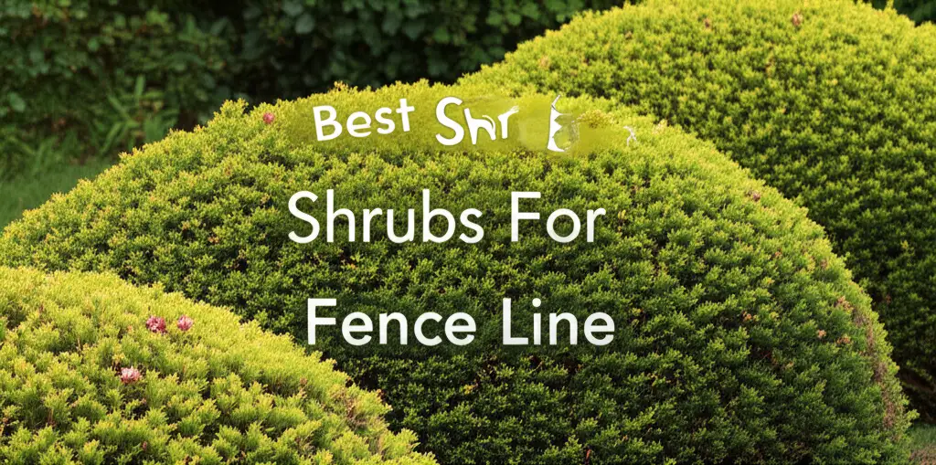 Are you searching for the best shrubs for fence line care? We analyzed the top tools and treatments to keep your property perimeter looking pristine.