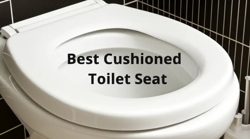 Best Cushioned Toilet Seat