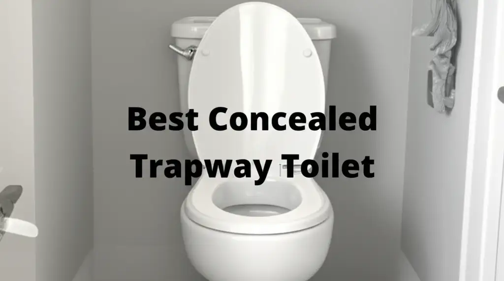 10 Best Concealed Trapway Toilets 2026