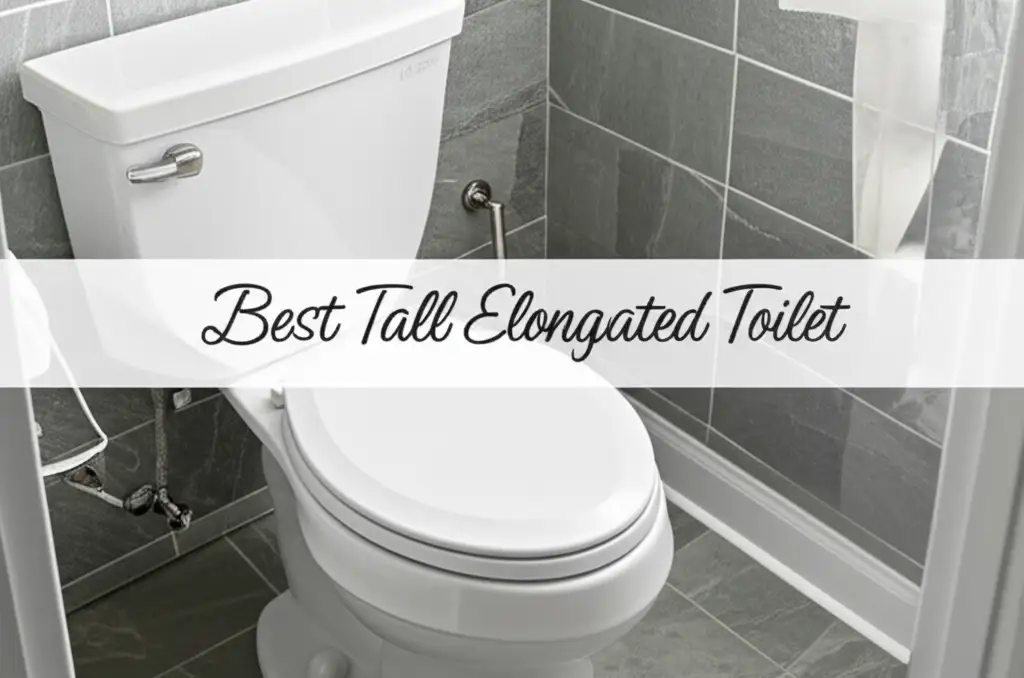 Best Tall Elongated Toilet