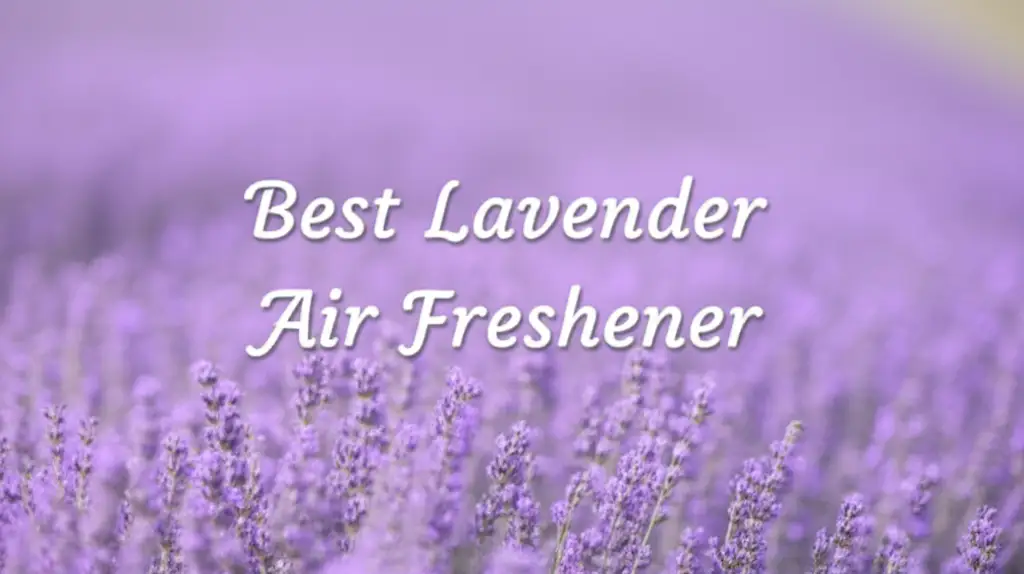 7 Best Lavender Air Freshener Options for 2026