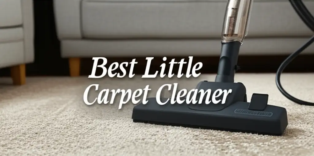 9 Best Little Carpet Cleaners in 2026