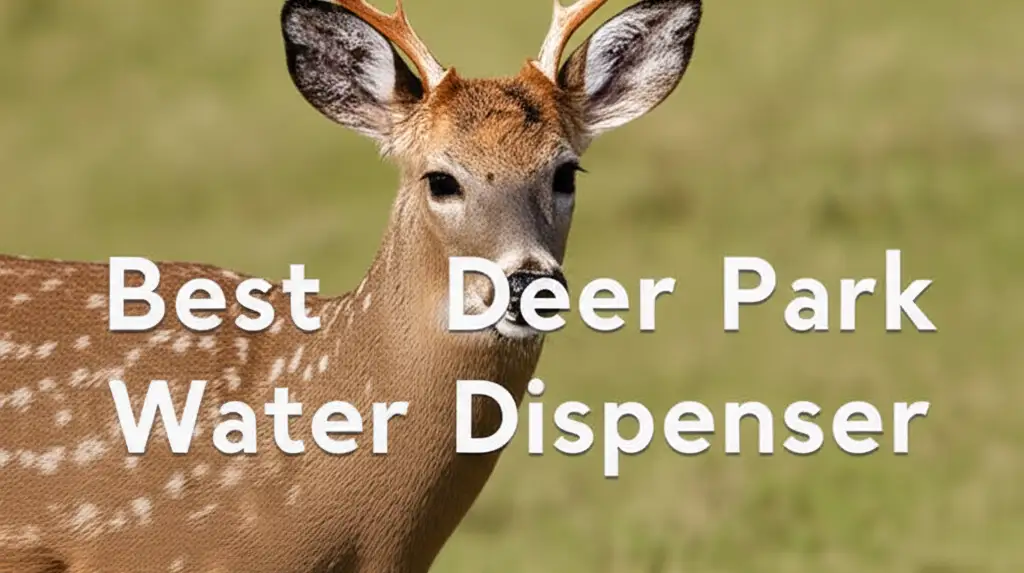 8 Best Deer Park Water Dispensers of 2026