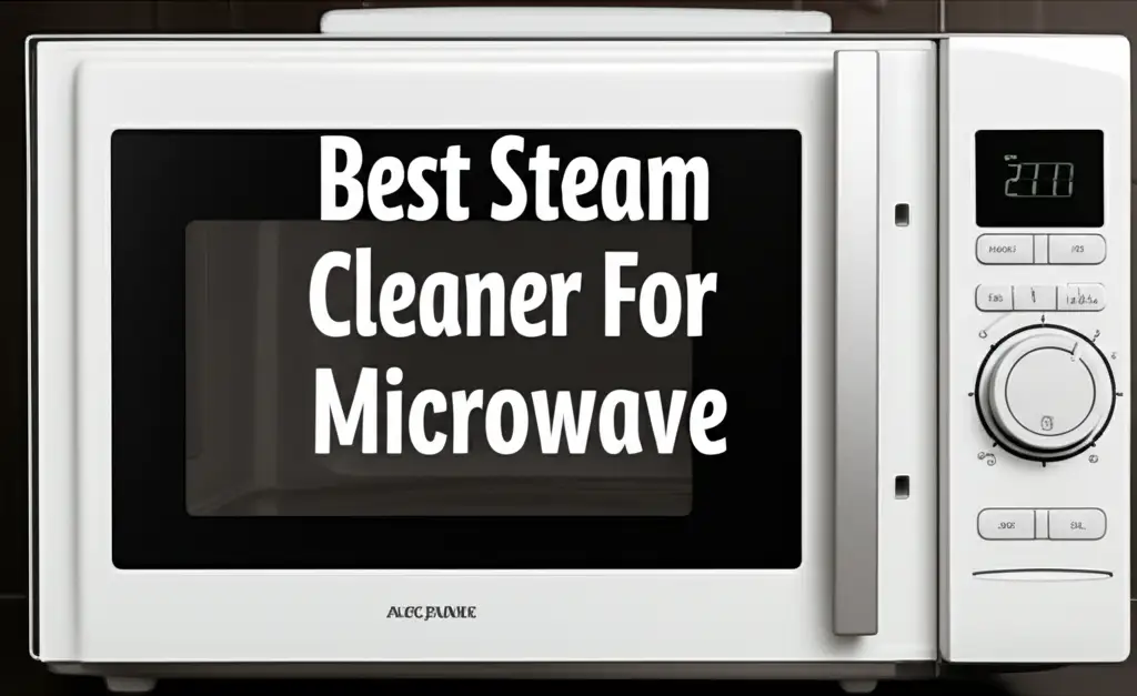 Best Steam Cleaner For Microwave
