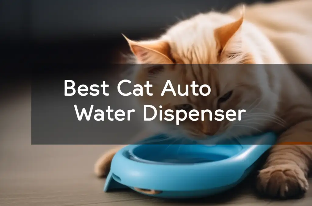 7 Best Cat Auto Water Dispenser 2026