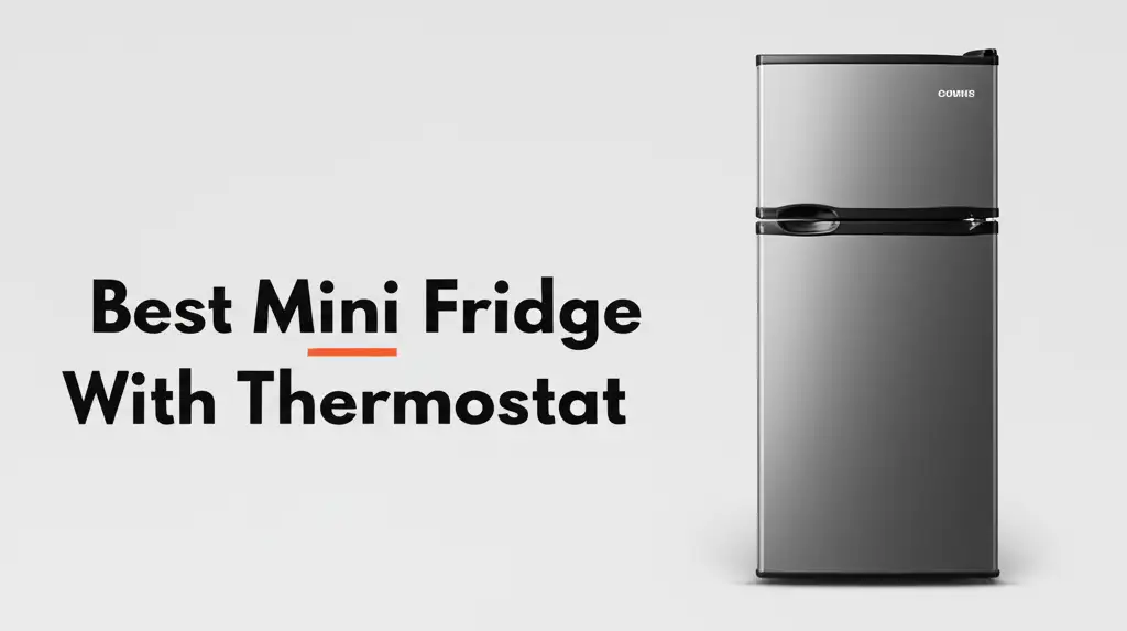 10 Best Mini Fridge With Thermostat for 2026 Reviews
