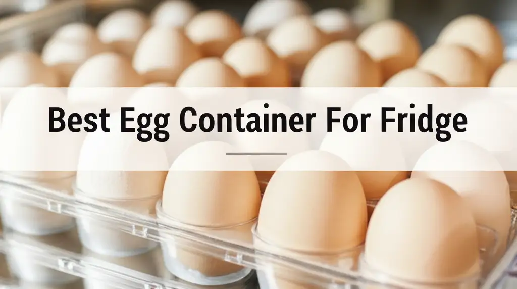 8 Best Egg Container For Fridge of 2026