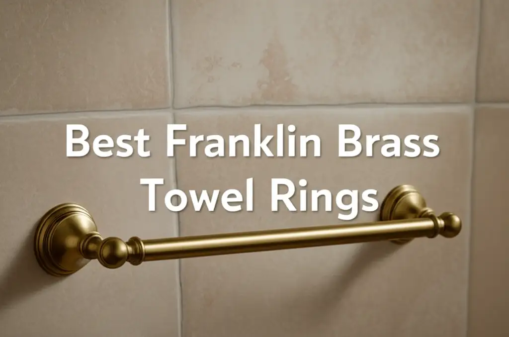10 Best Franklin Brass Towel Rings 2026