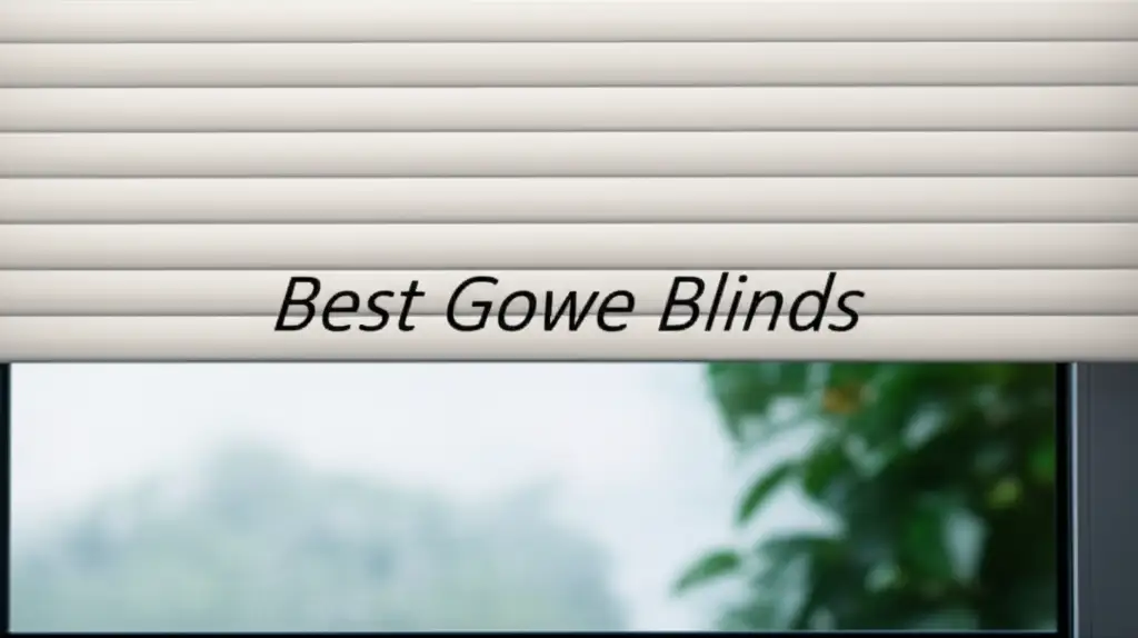 Best Gowe Blinds