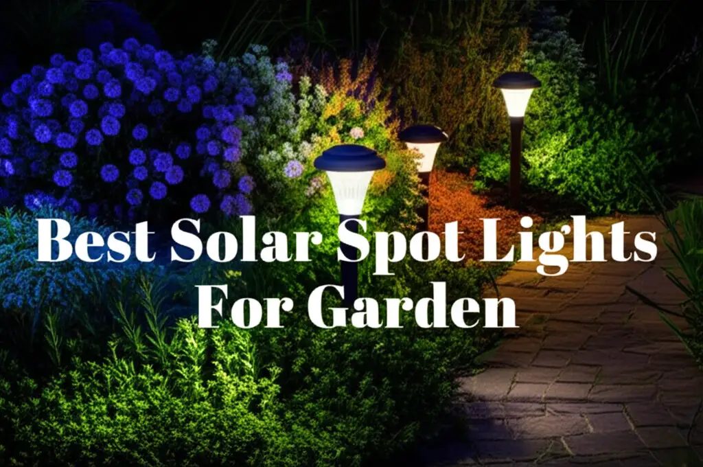 9 Best Solar Spot Lights For Garden 2026