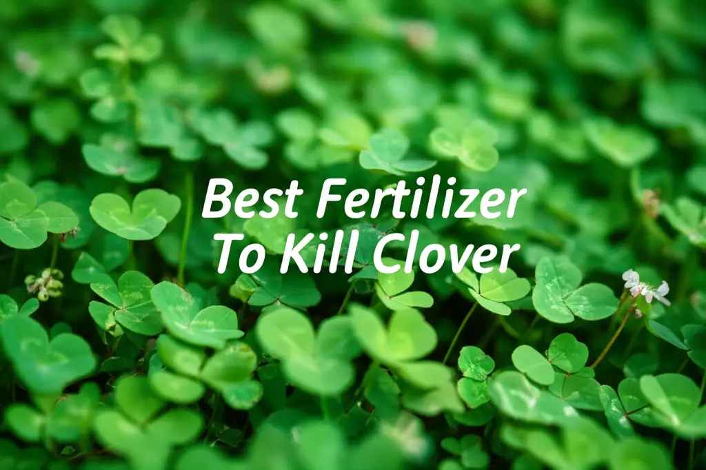 8 Best Fertilizer To Kill Clover 2026