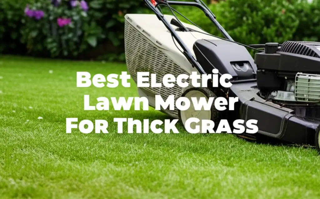 9 Best Electric Lawn Mower For Thick Grass 2026