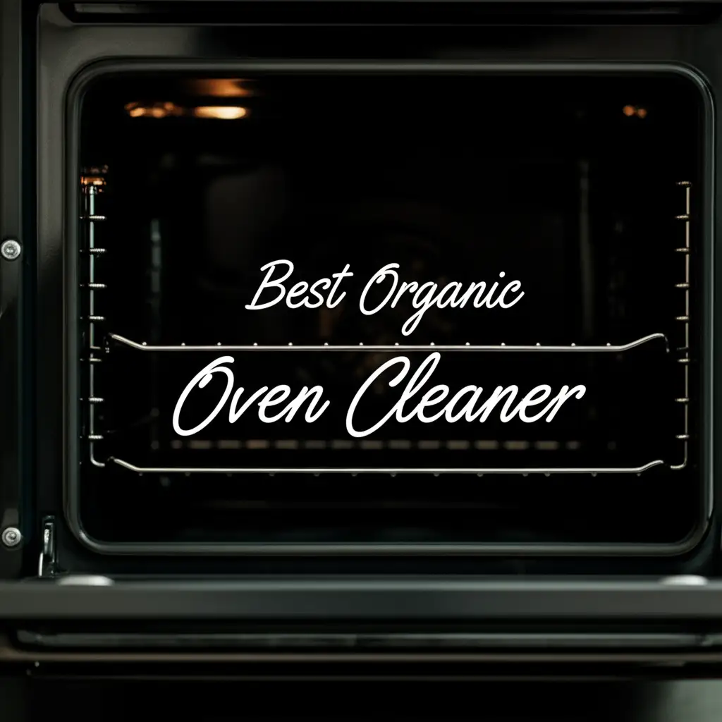7 Best Organic Oven Cleaners for a Spotless Kitchen