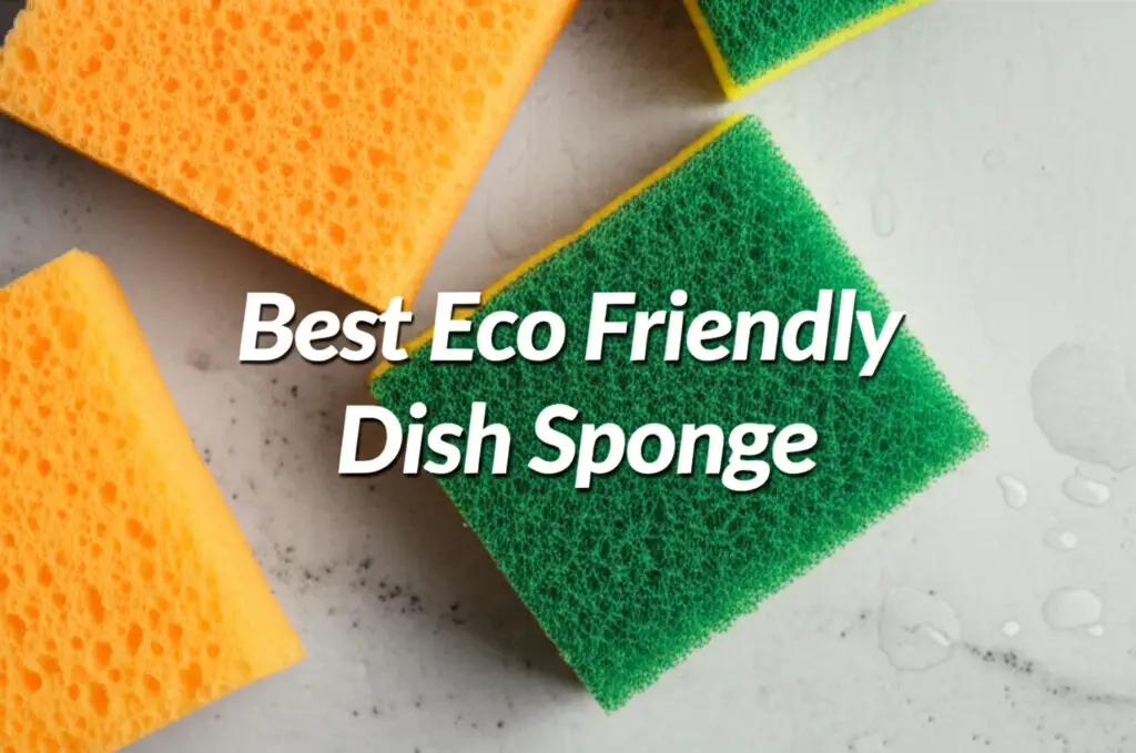 10 Best Eco Friendly Dish Sponge of 2026