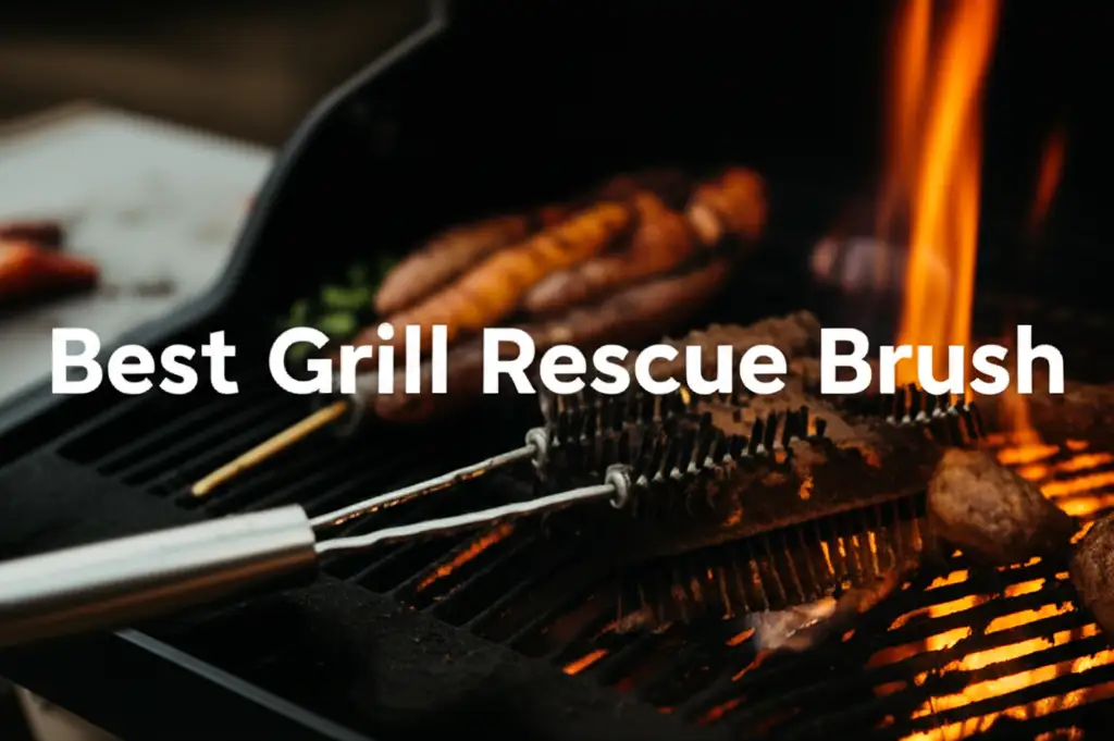 9 Best Grill Rescue Brush Models 2026
