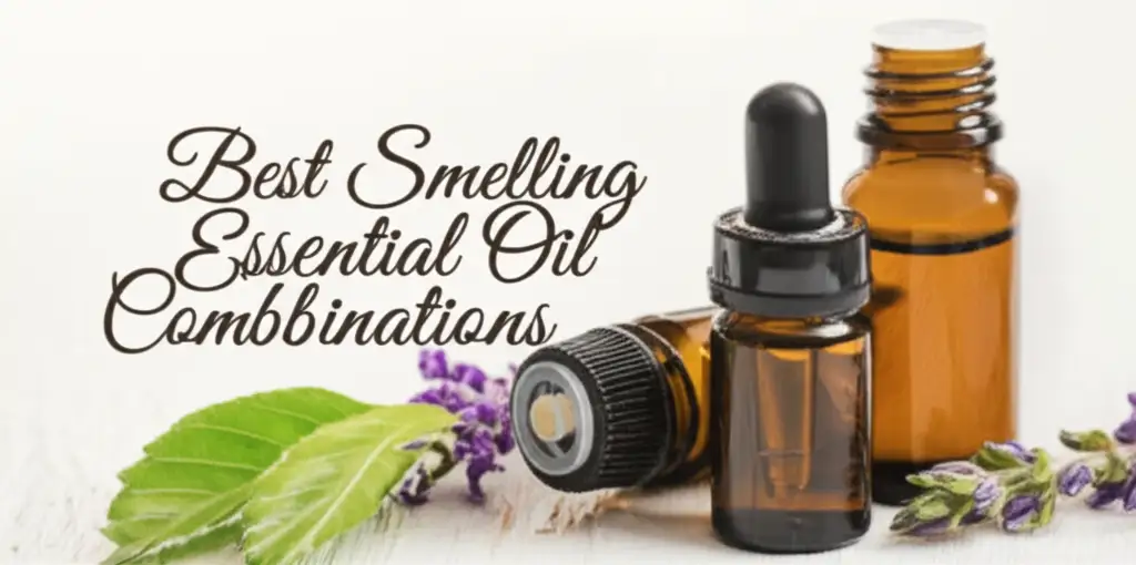 Looking for the best smelling essential oil combinations? We tested dozens of sets to help you find the perfect aromas for relaxation and home fragrance.
