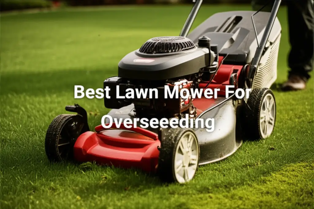 Best Lawn Mower For Overseeding