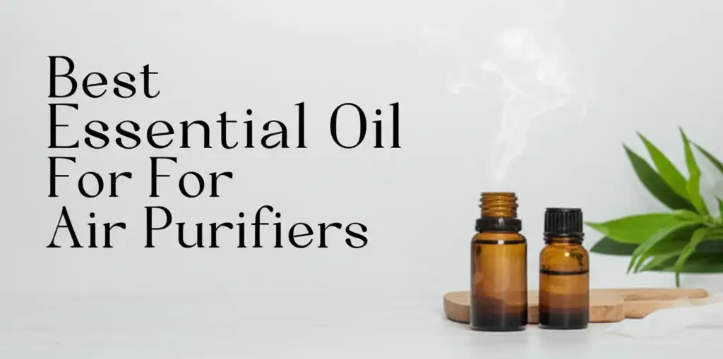 10 Best Essential Oil For Air Purifiers in 2024