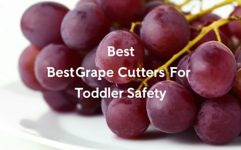 10 Best Grape Cutters For Toddler Safety