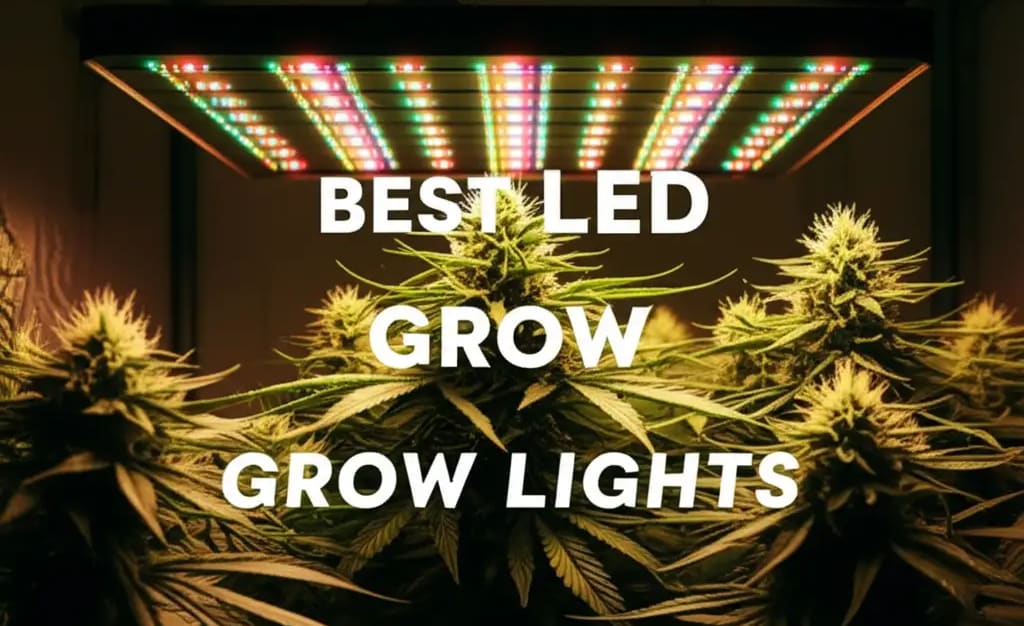 8 Best Led Grow Lights 2026 for Thriving Indoor Gardens — LawnTrend.com