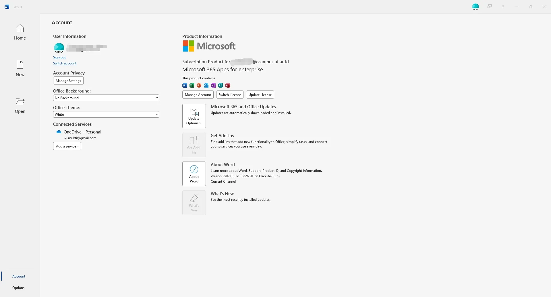 Gambar 4: Microsoft Word di desktop setelah aktivasi