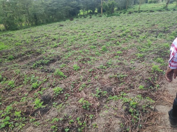 IMG_20201212_142604_whyis3