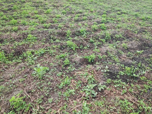 IMG_20201212_142637_hpmzvp