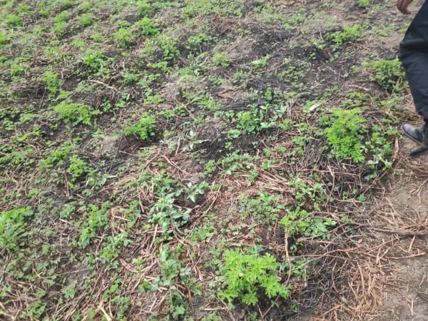 IMG_20201212_142640_xjibka