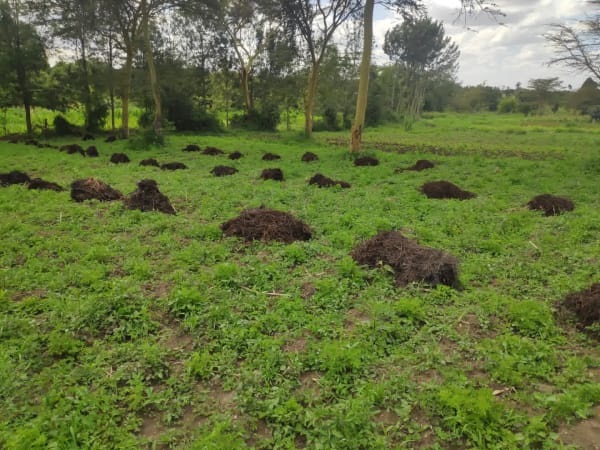 IMG_20201212_142803_eqljhl