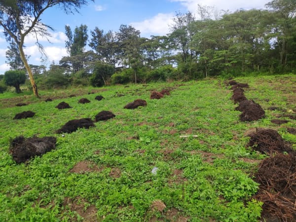 IMG_20201212_142804_ywpiwt