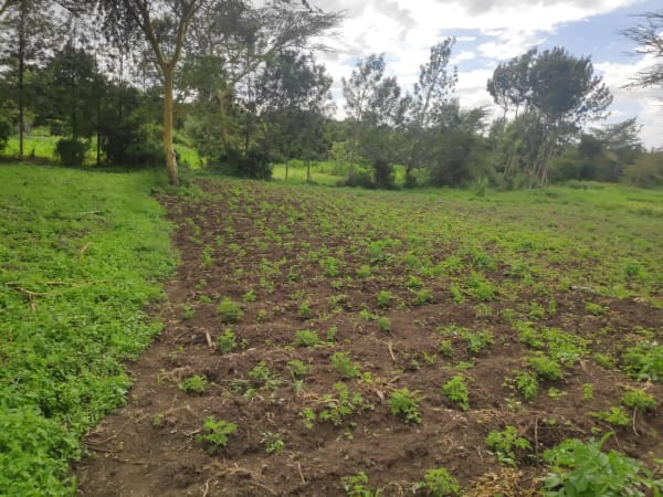 IMG_20201212_142918_olbwvu