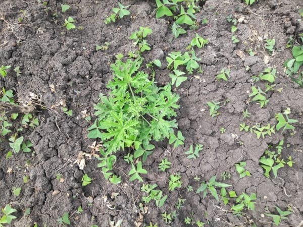 IMG_20201212_143001_mjrwoq