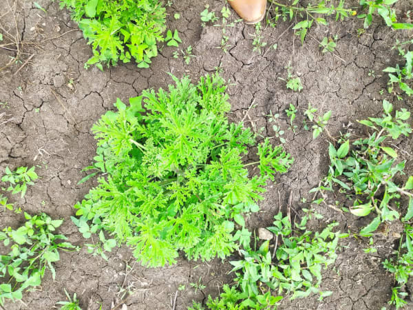 IMG_20201212_143017_v2qoxw