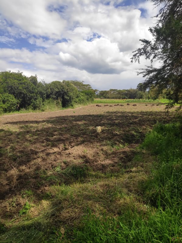 IMG_20201212_144147_f6slny