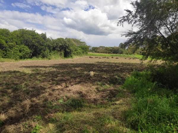 IMG_20201212_144151_rhnzsd