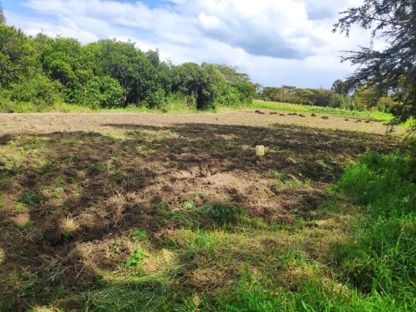 IMG_20201212_144153_rnncam