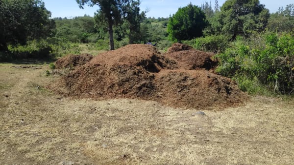 IMG_20210130_104743_1_zhxz9x