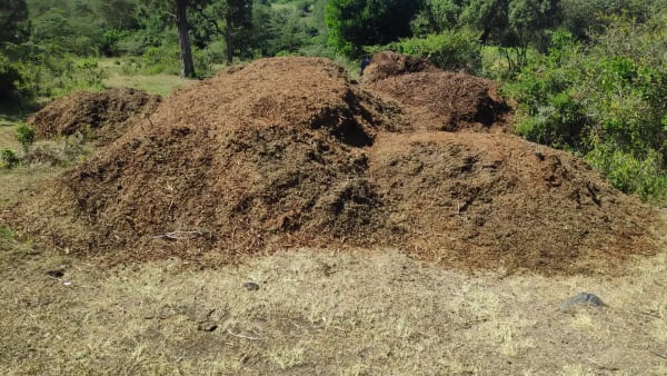 IMG_20210130_104756_uapwmr