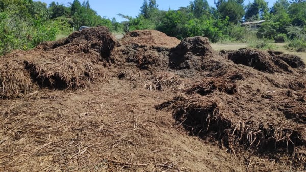 IMG_20210130_104830_g9fso5