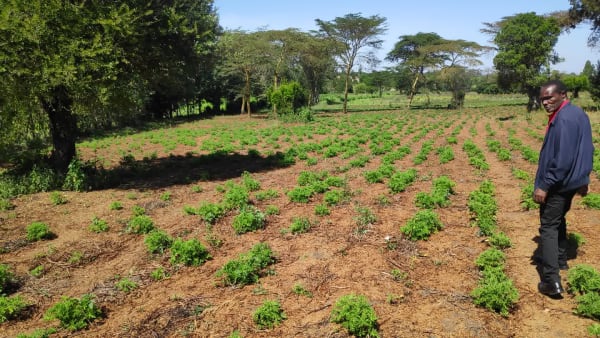 IMG_20210130_104849_otqo9f