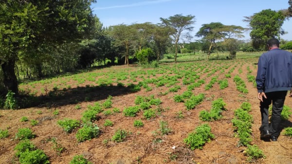 IMG_20210130_104852_w4x0w9