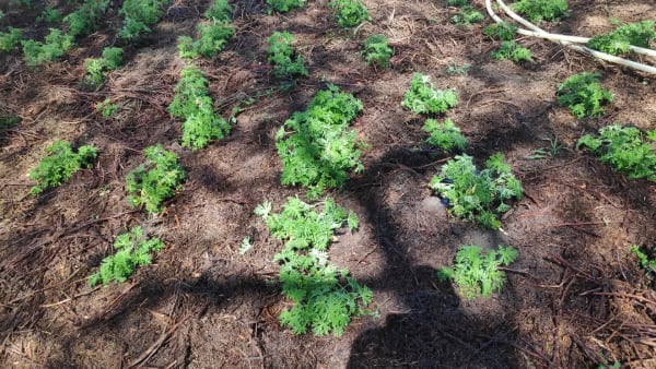 IMG_20210130_105026_tnpniy